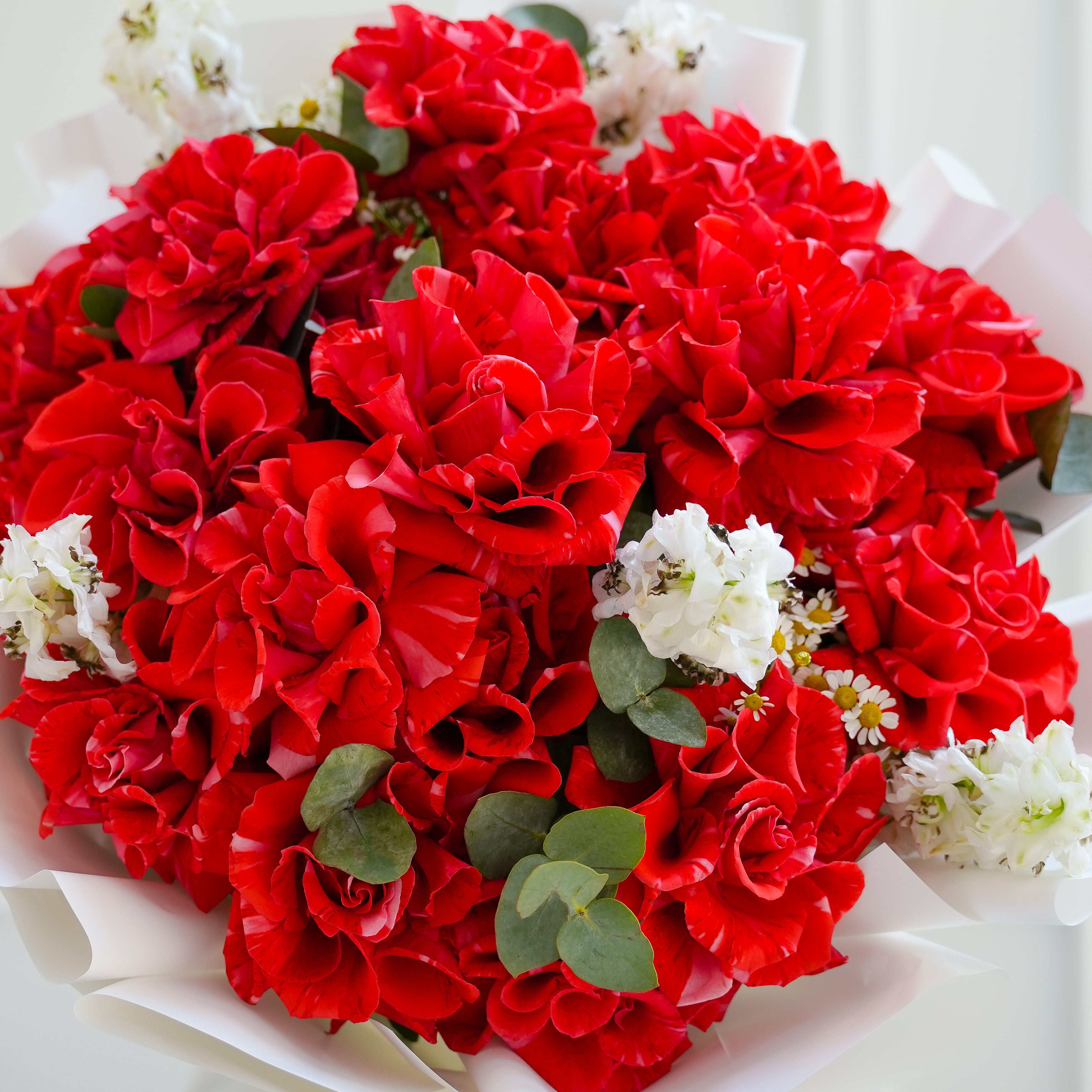 براعم مزهرة