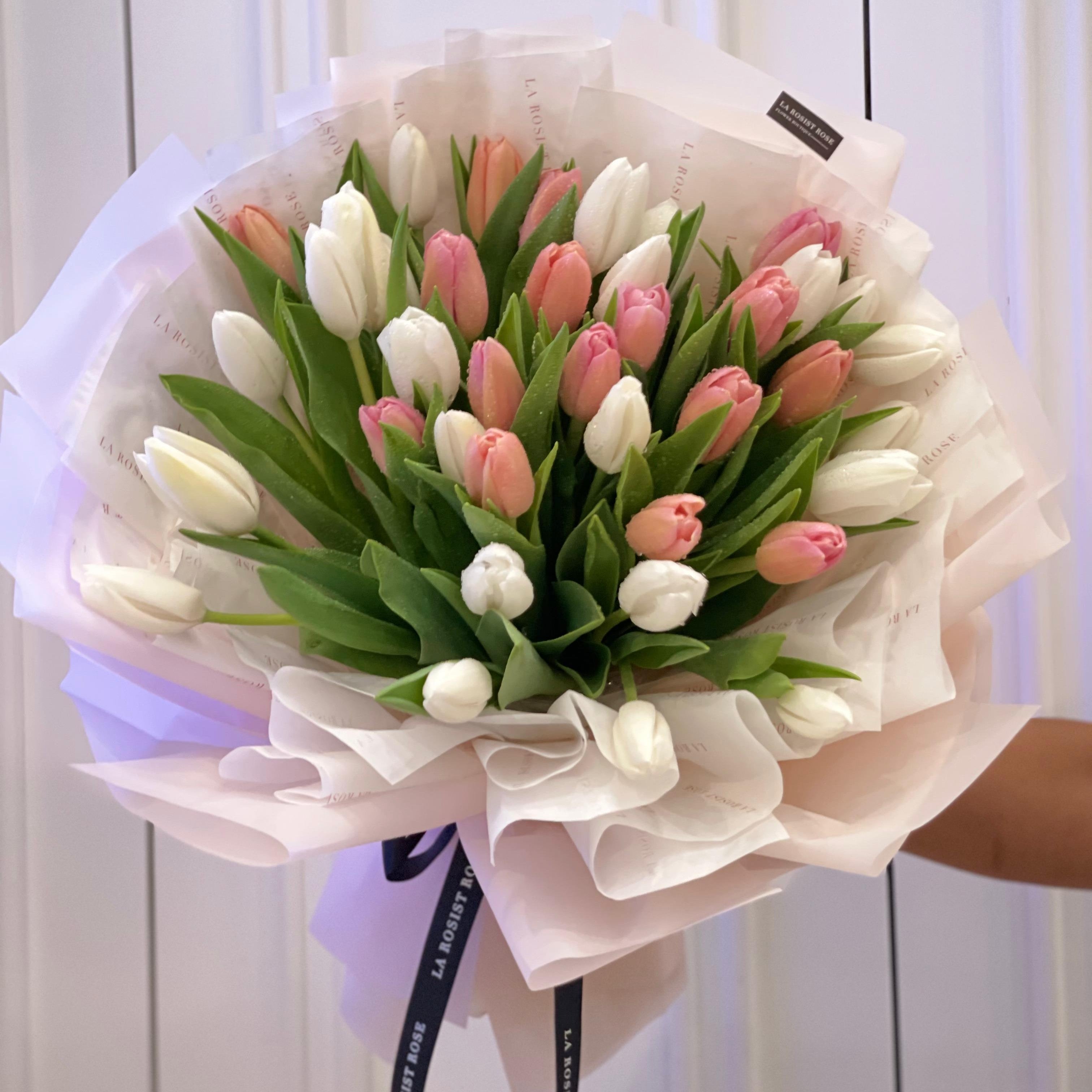 Enchanted Tulip