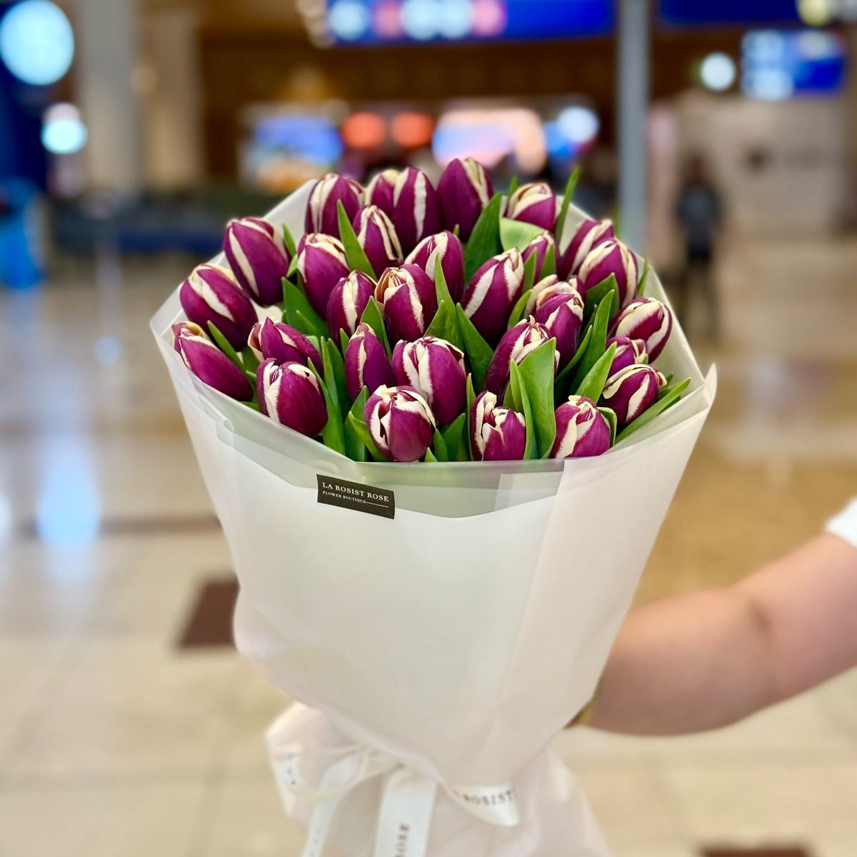 Timeless Tulips