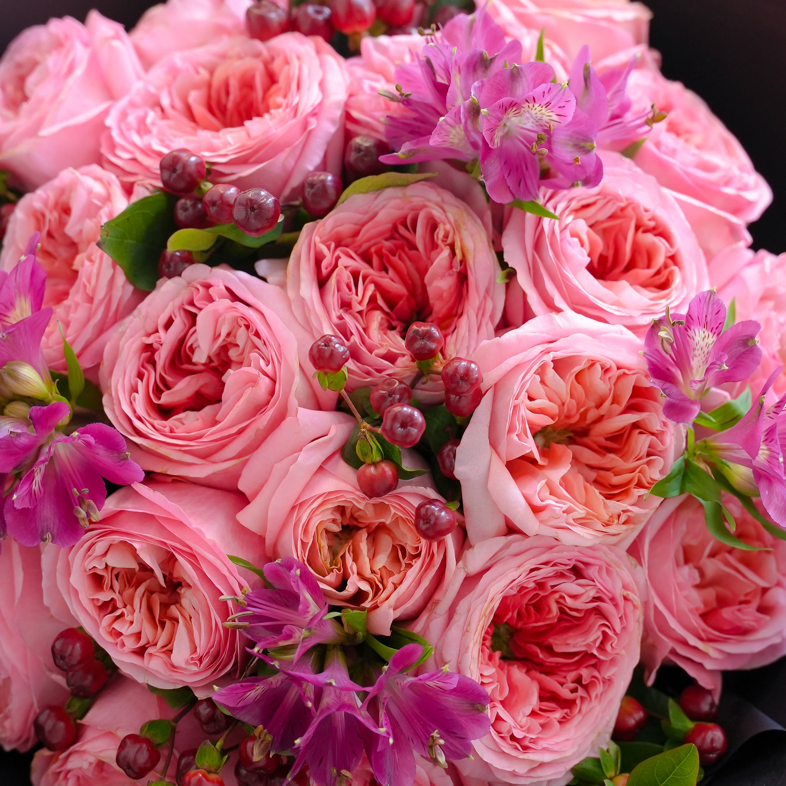 Bloomerangs