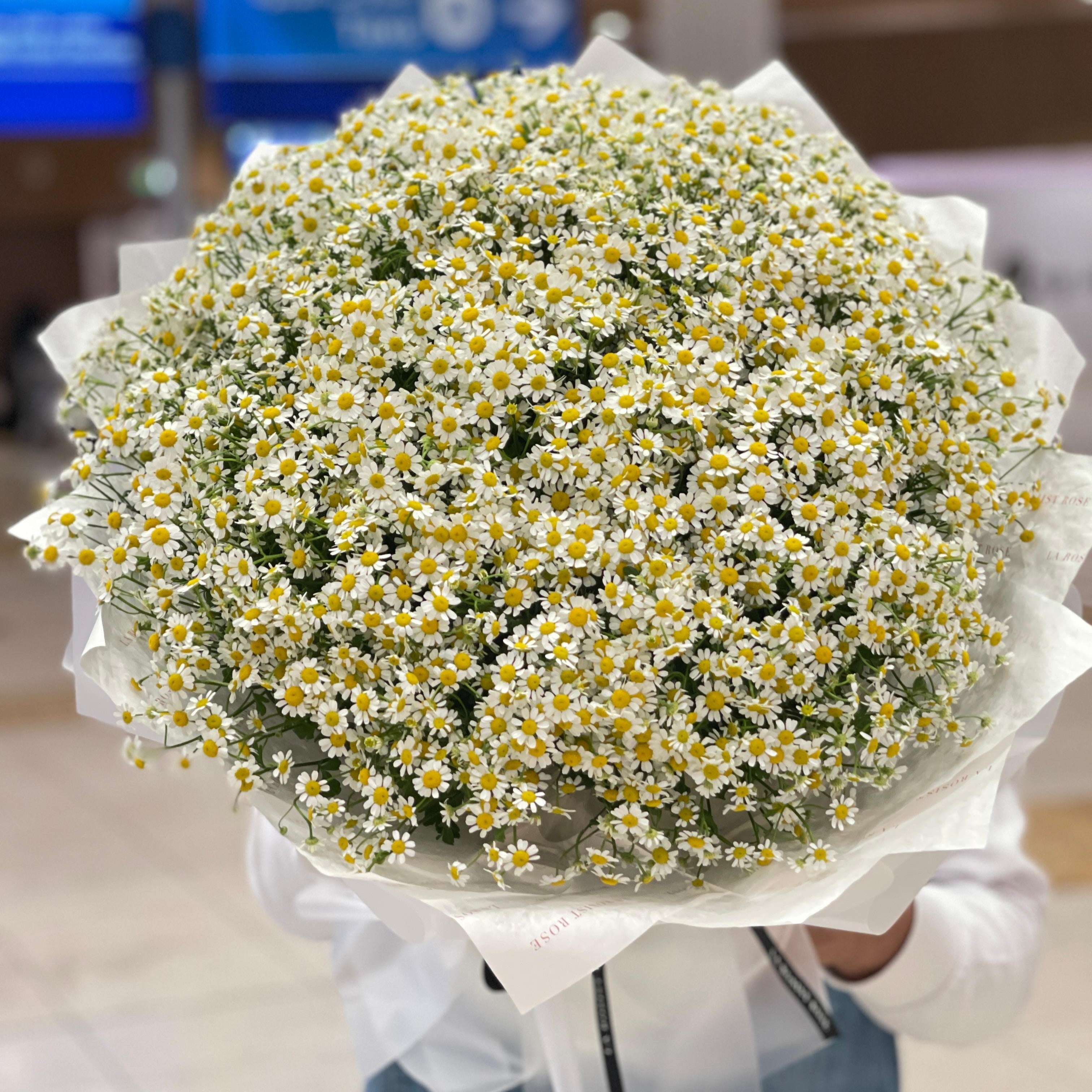 Simply Daisies
